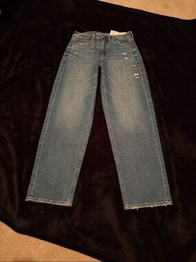 American Eagle Outfitters High Rise Baggy Straight jeans